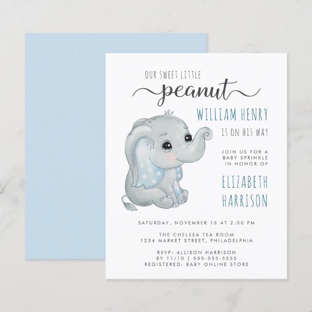 Budget Blue Elephant Watercolor Baby Boy Sprinkle (Front/Back)