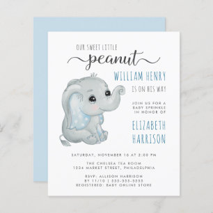 Budget Blue Elephant Watercolor Baby Boy Sprinkle