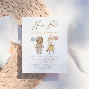 Budget Boho Woodland Animals Gender Reveal