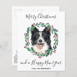 Budget Border Collie Dog Merry Christmas Postcard