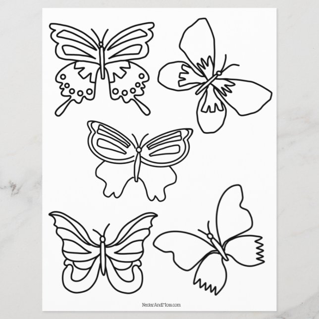 Budget Butterflies and Blooms Coloring Page (Front)