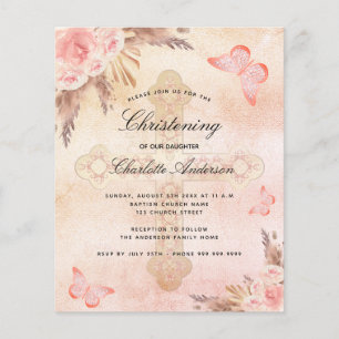 Budget Christening blush butterfly pampas grass