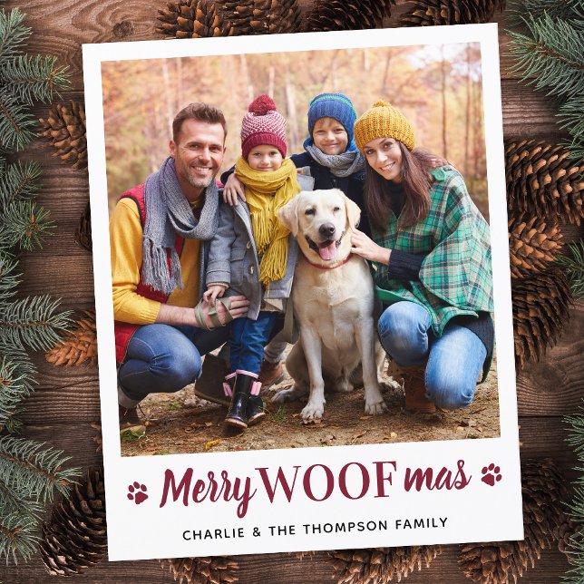 Budget Christmas From The Dog Simple Pet Photo (Creator Uploaded)