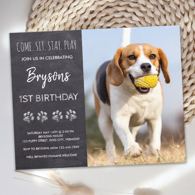 Budget Come Sit Stay Chalkboard Puppy Dog Birthday (Creator Uploaded)