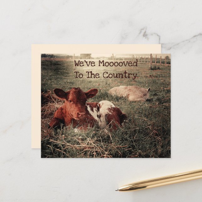 Budget Cow Rustic Country Funny Farm Moving Card (Front/Back In Situ)