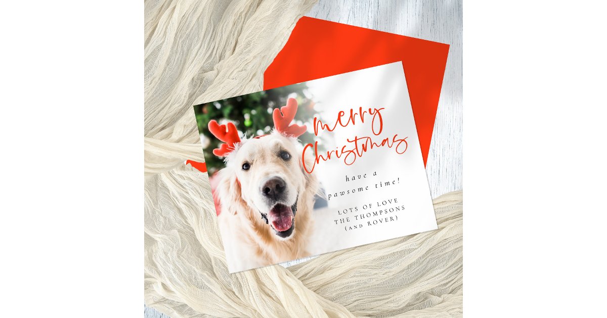 Budget Custom Pet Photo Merry Christmas Card | Zazzle