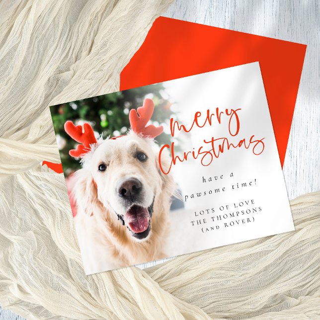 Budget Custom Pet Photo Merry Christmas Card (Front and back view)