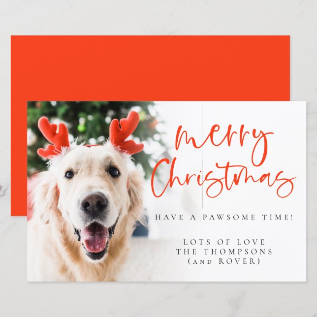 Budget Custom Pet Photo Merry Christmas Card (Front/Back)