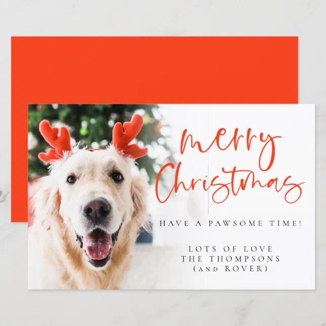 Budget Custom Pet Photo Merry Christmas Card | Zazzle
