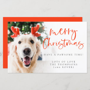 Budget Custom Pet Photo Merry Christmas Card
