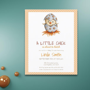 Budget Cute Bird Hatching Baby Shower Invitation