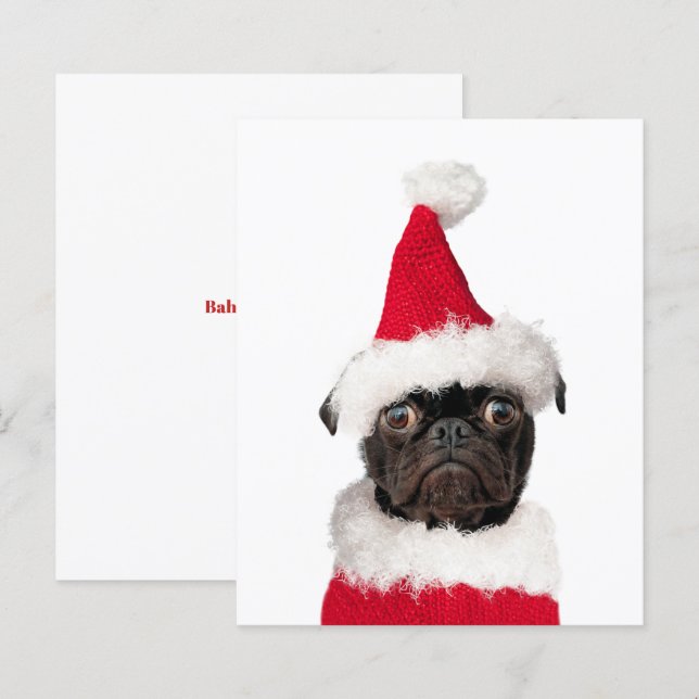 Budget Cute Christmas Pug Puppy Santa (Front/Back)