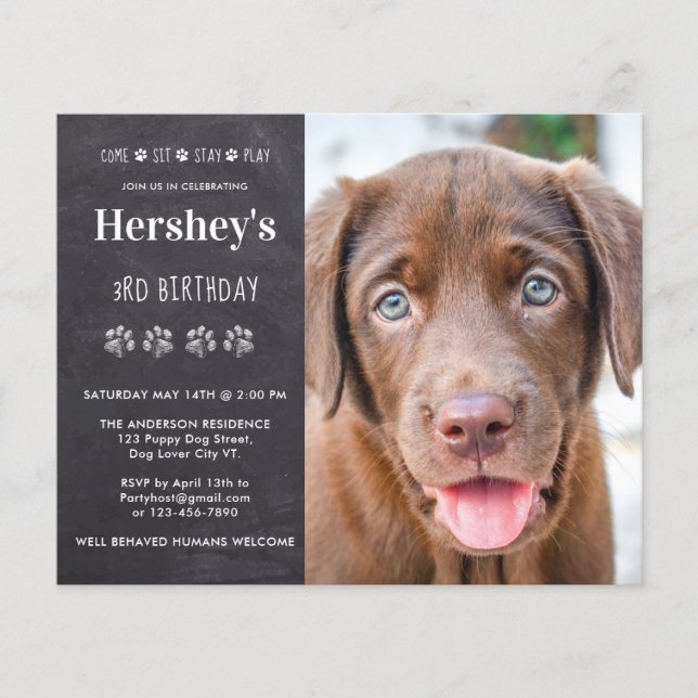 Budget Dog Birthday Puppy Custom Photo Invitation  (Front)