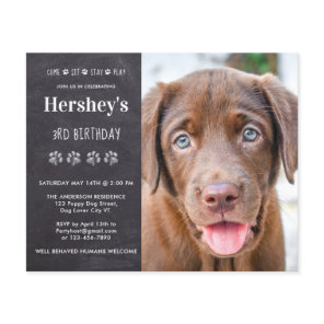 Budget Dog Birthday Puppy Custom Photo Invitation