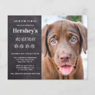 Budget Dog Birthday Puppy Custom Photo Invitation