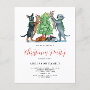 Budget Dog Cat Christmas Party Invitation