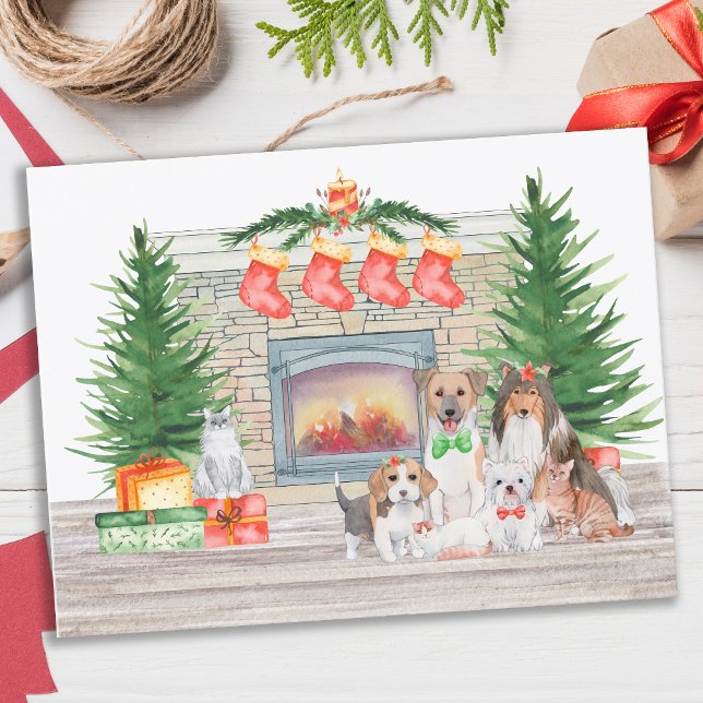 Budget Dog Lover Dogs Cats Christmas Holiday Card (Creator Uploaded)