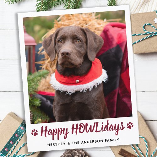 Budget Dog Lover Pet Photo Christmas Holiday Card
