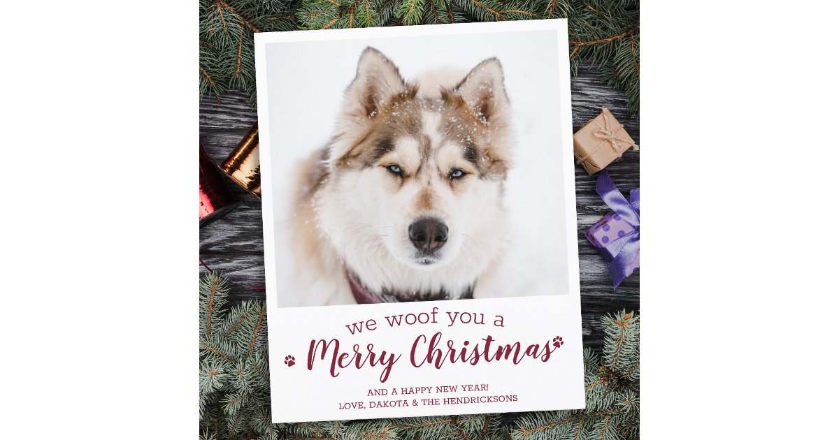 Budget Dog Pet Photo Merry Christmas Holiday Card | Zazzle