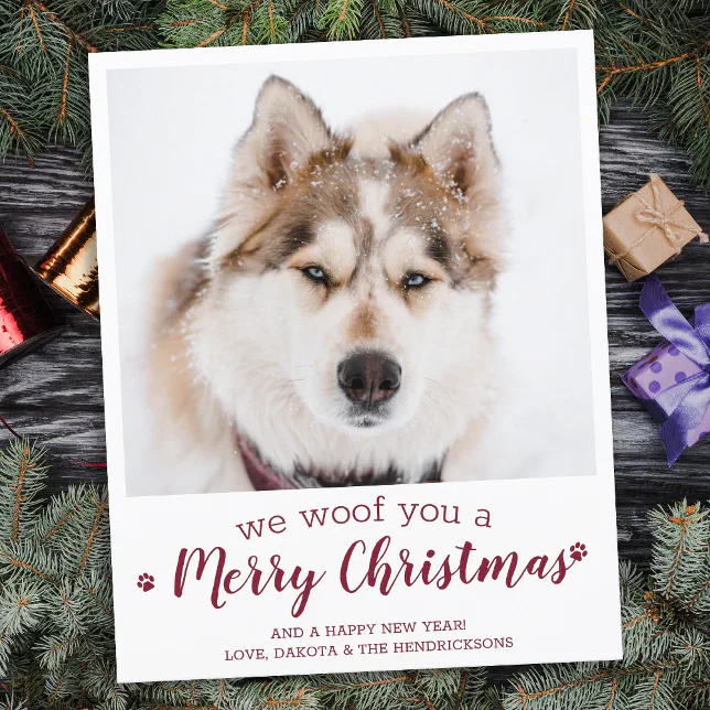 Budget Dog Pet Photo Merry Christmas Holiday Card | Zazzle