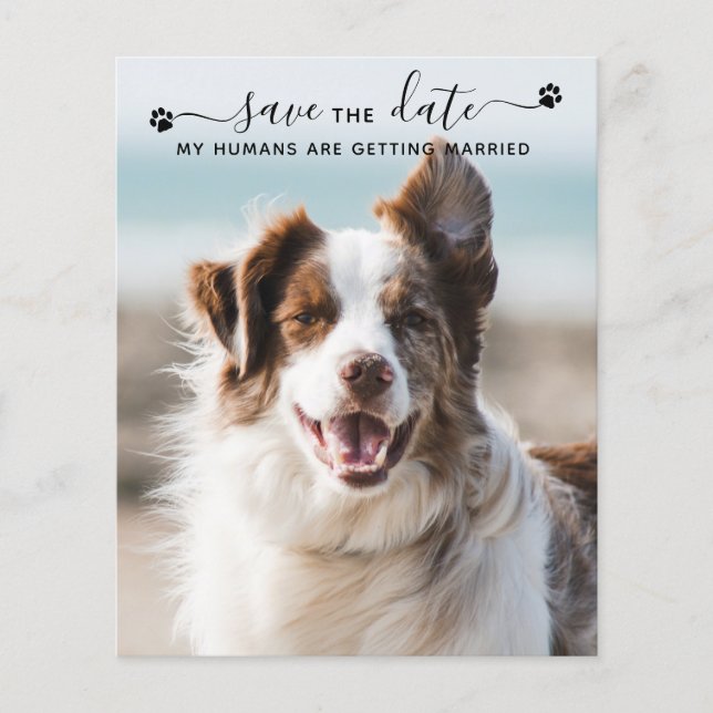 Budget Dog Wedding Pet Photo Save The Date Cards (Front)