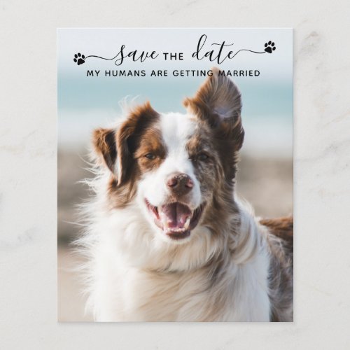 Budget Dog Wedding Pet Photo Save The Date Cards