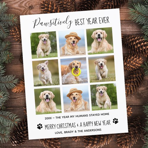 Budget Dog Year Review Photo Collage Holiday Card