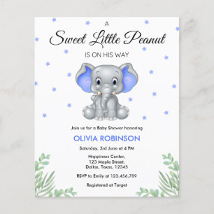 Budget Elephant Blue Boy Baby Shower Invitation Flyer