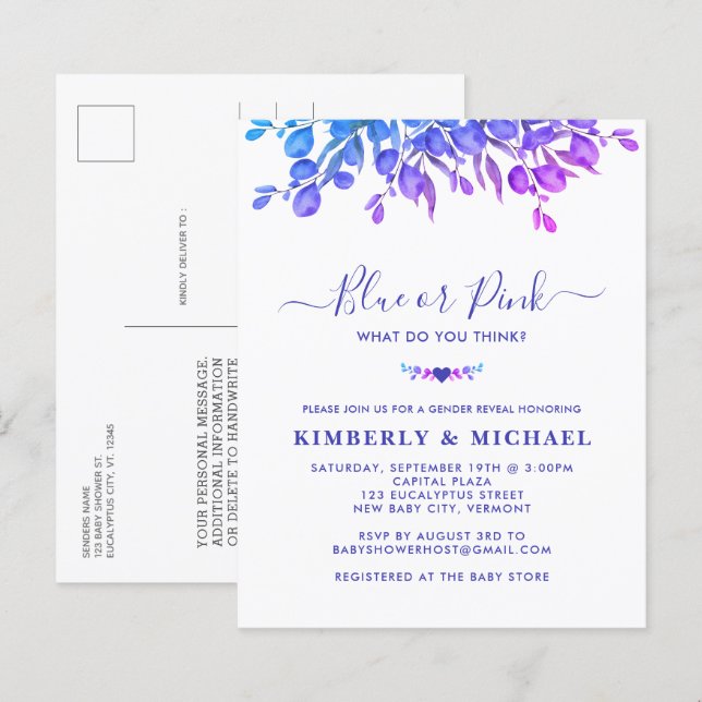 Budget Eucalyptus Baby Gender Reveal Blue Pink  (Front/Back)