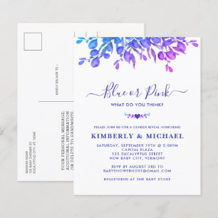 Budget Eucalyptus Baby Gender Reveal Blue Pink 