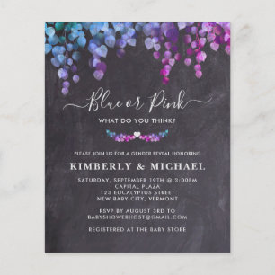 Budget Eucalyptus Gender Reveal Blue Pink Baby