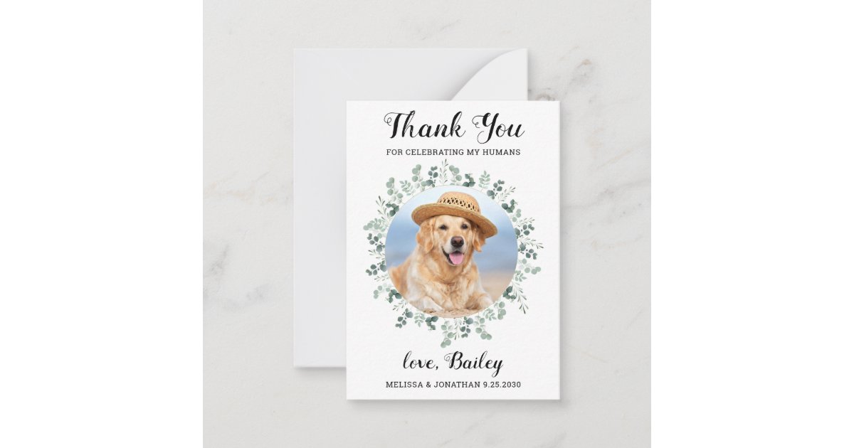 Budget Eucalyptus Pet Photo Dog Wedding Thank You Note Card | Zazzle