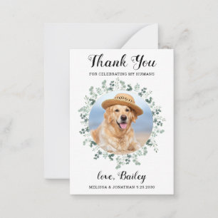 Budget Eucalyptus Pet Photo Dog Wedding Thank You Note Card