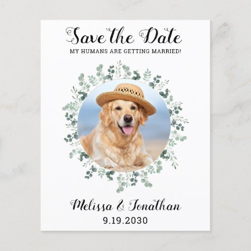 Budget Eucalyptus Pet Wedding Dog Save The Date 