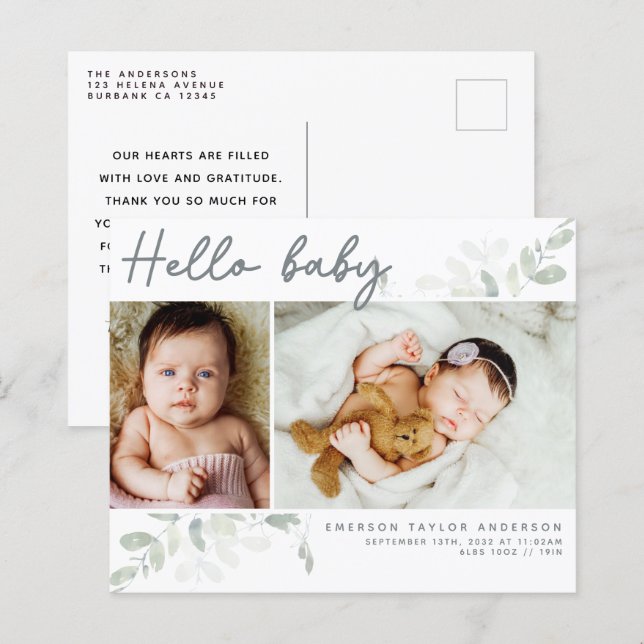 Budget Eucalyptus Photo Hello Baby Postcard (Front/Back)