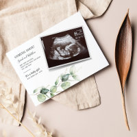 Budget Eucalyptus Pregnancy Baby Gender Reveal