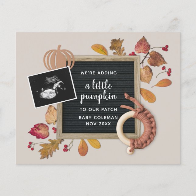 Budget Fall Pumpkin Baby Pregnancy Announcement (Front)