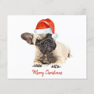 Budget French Bulldog Puppy Christmas Cute Dog