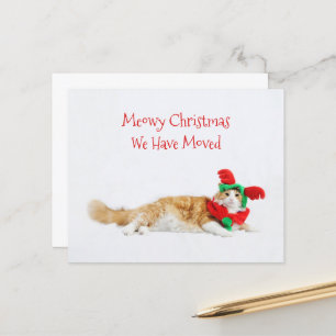 Budget Funny Cat Christmas Moving New Address