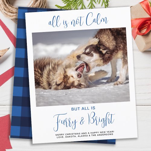 Budget Funny Pet All Is Not Calm Photo Christmas 