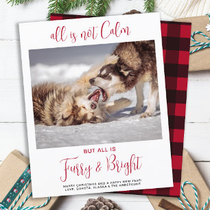 Budget Funny Pet Furry & Bright Photo Christmas
