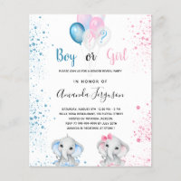 Budget gender reveal baby shower boy girl