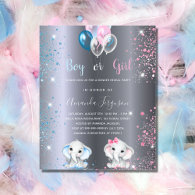 Budget gender reveal baby shower elephant silver