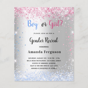 Budget gender reveal pink blue silve glitter