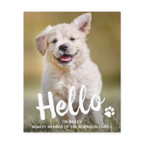 Budget Hello New Pet Photo Puppy Dog Announcement