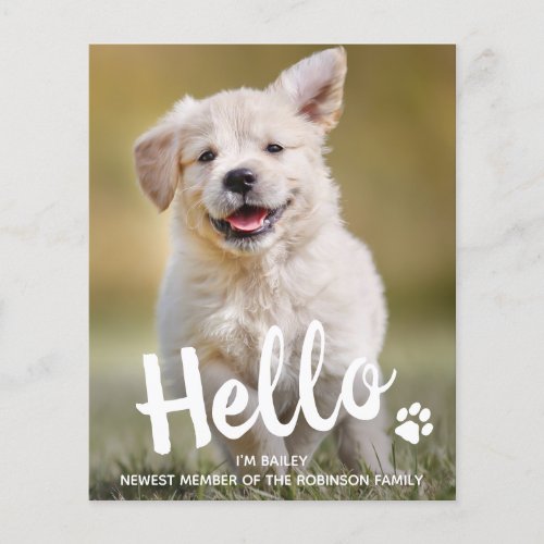 Budget Hello New Pet Photo Puppy Dog Announcement  - Hello...I'm Puppy, Newest member of the family ! Introduce your new little pup with this simple new pet announcement card for new dog's, and puppies. These budget new pet announcement postcards need to be mailed as oversized postcards so may incur standard postage fees but they don't need an envelope or a return address label.
Add your pup's favorite photo and personalize with pups name and family name ! Type your personal message to family and friends on the back or delete to handwrite.
Whether a new puppy or an adopted rescue dog, this new pet announcement design is perfect to send to family and friends to welcome a new family pet. COPYRIGHT © 2020 Judy Burrows, Black Dog Art - All Rights Reserved. 
Budget Hello New Pet Photo Puppy Dog Announcement