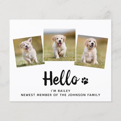 Budget Hello Photo Puppy Dog New Pet Announcement - Hello...I'm Puppy, Newest member of the family ! Introduce your new little pup with this simple new pet announcement card for new dog's, and puppies. These budget new pet announcement postcards need to be mailed as oversized postcards so may incur standard postage fees but they don't need an envelope or a return address label.
Add your pup's favorite photo's and personalize with pups name and family name ! Type your personal message to family and friends on the back or delete to handwrite.
Whether a new puppy or an adopted rescue dog, this new pet announcement design is perfect to send to family and friends to welcome a new family pet. COPYRIGHT © 2020 Judy Burrows, Black Dog Art - All Rights Reserved. 
Budget Hello Photo Puppy Collage Dog New Pet Announcement