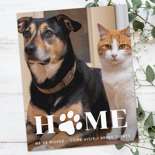 Budget Home Custom Pet Photo Weve Moved Dog Moving (Creator Uploaded)