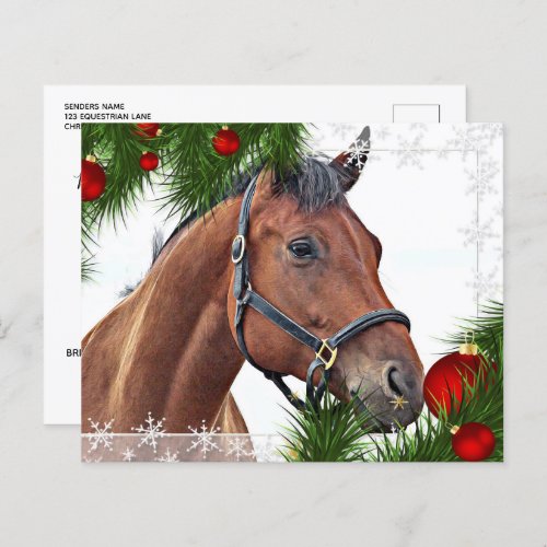 Budget Horse Christmas Equine Cute Pony Holiday