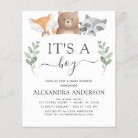 Budget It's a Boy Baby Shower Woodland Greenery